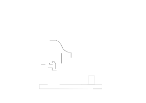 Project Consultancy